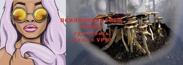 трава Вязьма