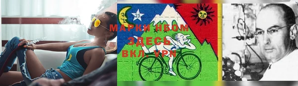 трава Вязьма