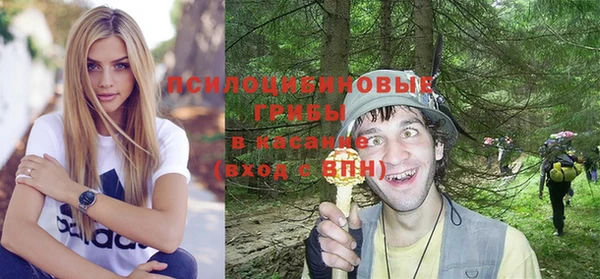 метадон Вяземский