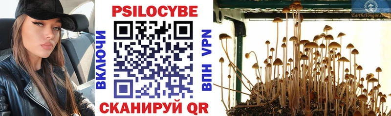 Псилоцибиновые грибы мухоморы  продажа наркотиков  Зарайск 